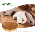 Extrait de champignon comestible organique Extrait de champignons shiitake